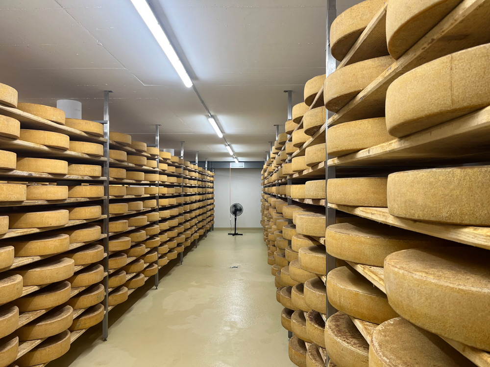 Chilikäse – Bild 2