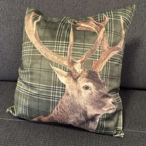 Kissenhülle "Cervo" grün