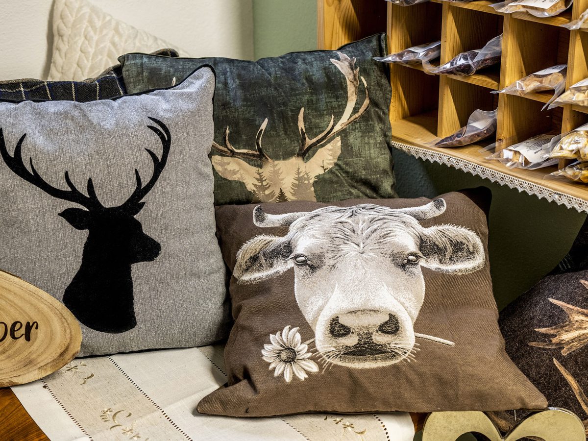 alp-hofladen-tschagguns-deko-kissen